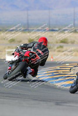 media/Feb-03-2024-SoCal Trackdays (Sat) [[767c60a41c]]/2-Turn 11 (10am)/